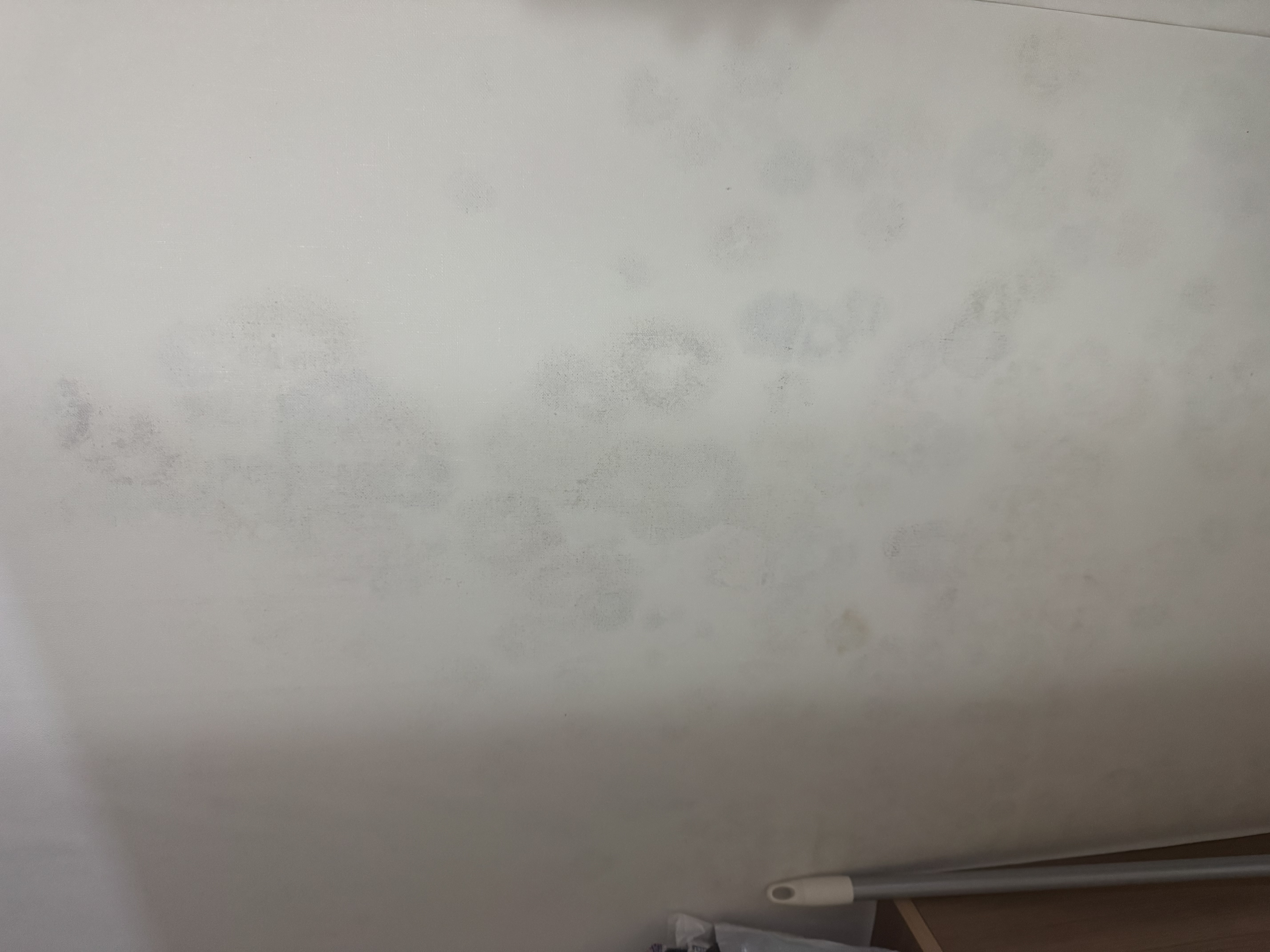 A동 218호 곰팡이 조치 부탁드립니다 !