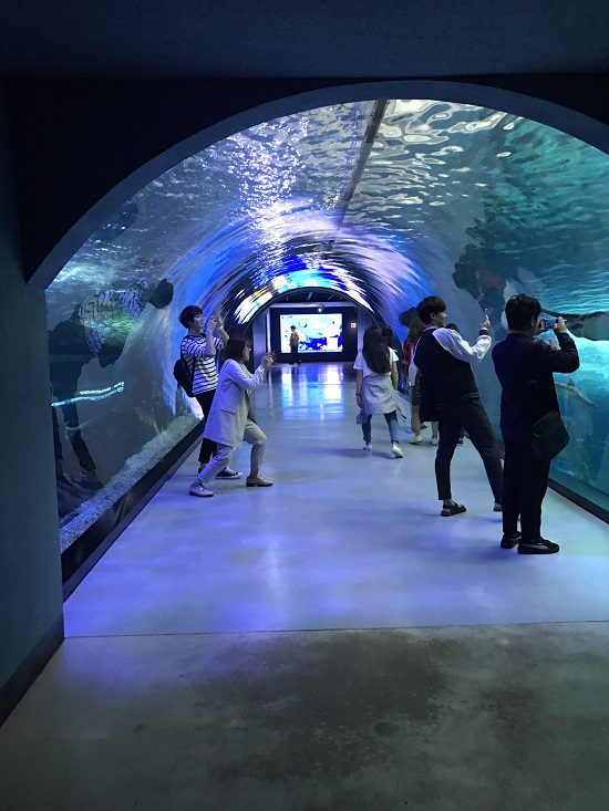 2017학년도 입주학생 춘계행사