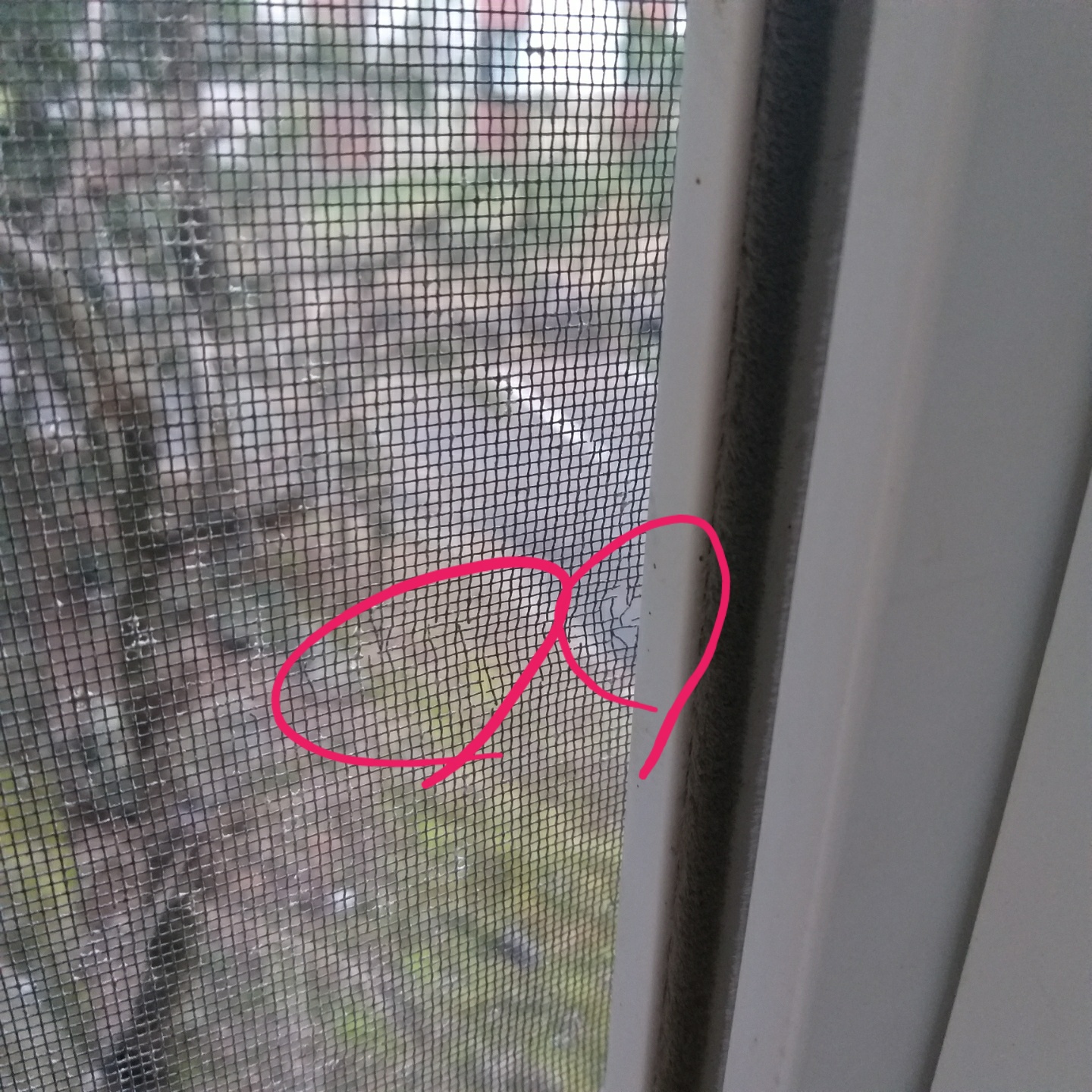 4호관 B동 139호 방충망 수리