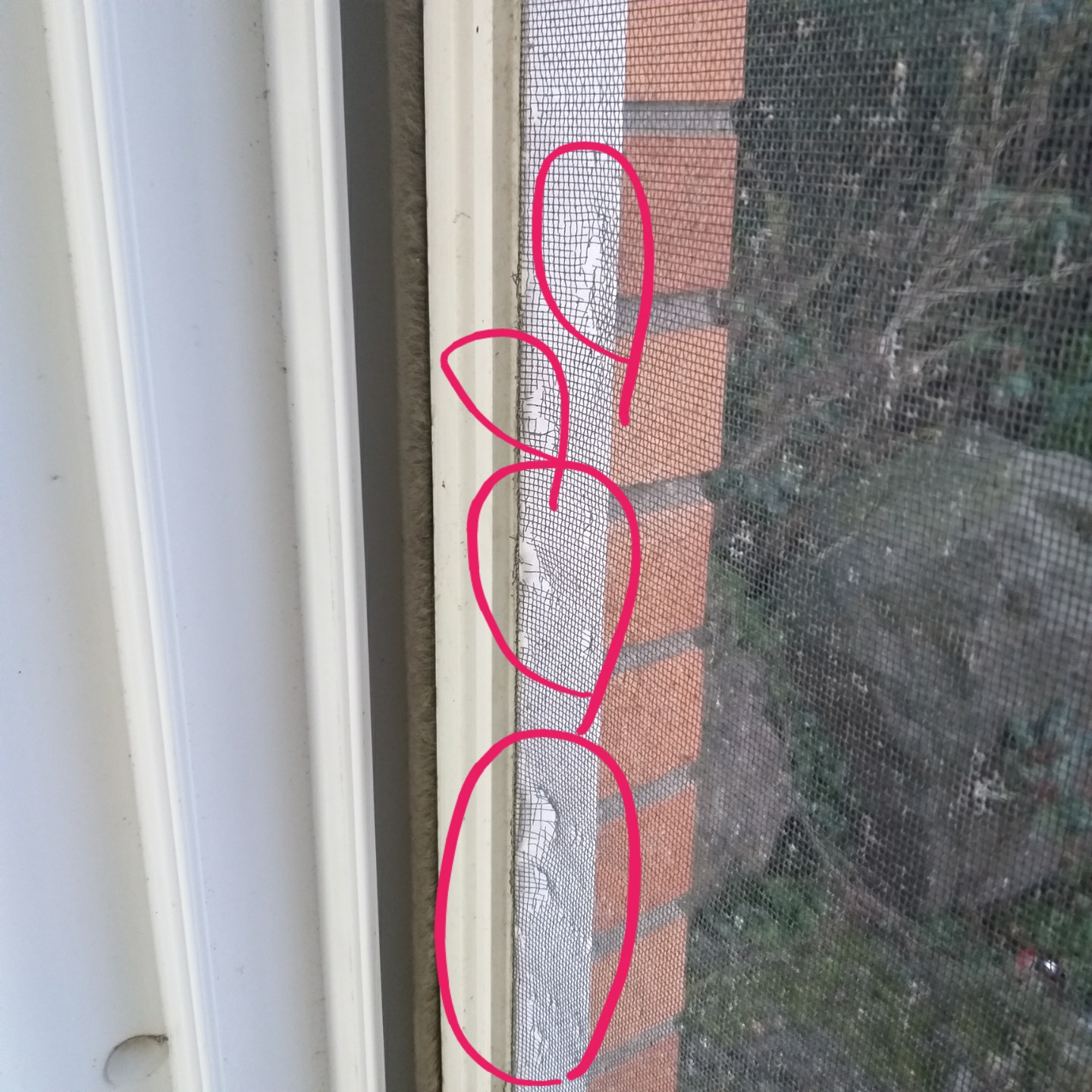 4호관 B동 139호 방충망 수리