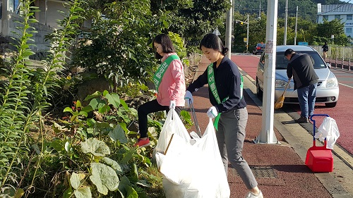 2017년도 하반기 학생생활관 주변 정화활동