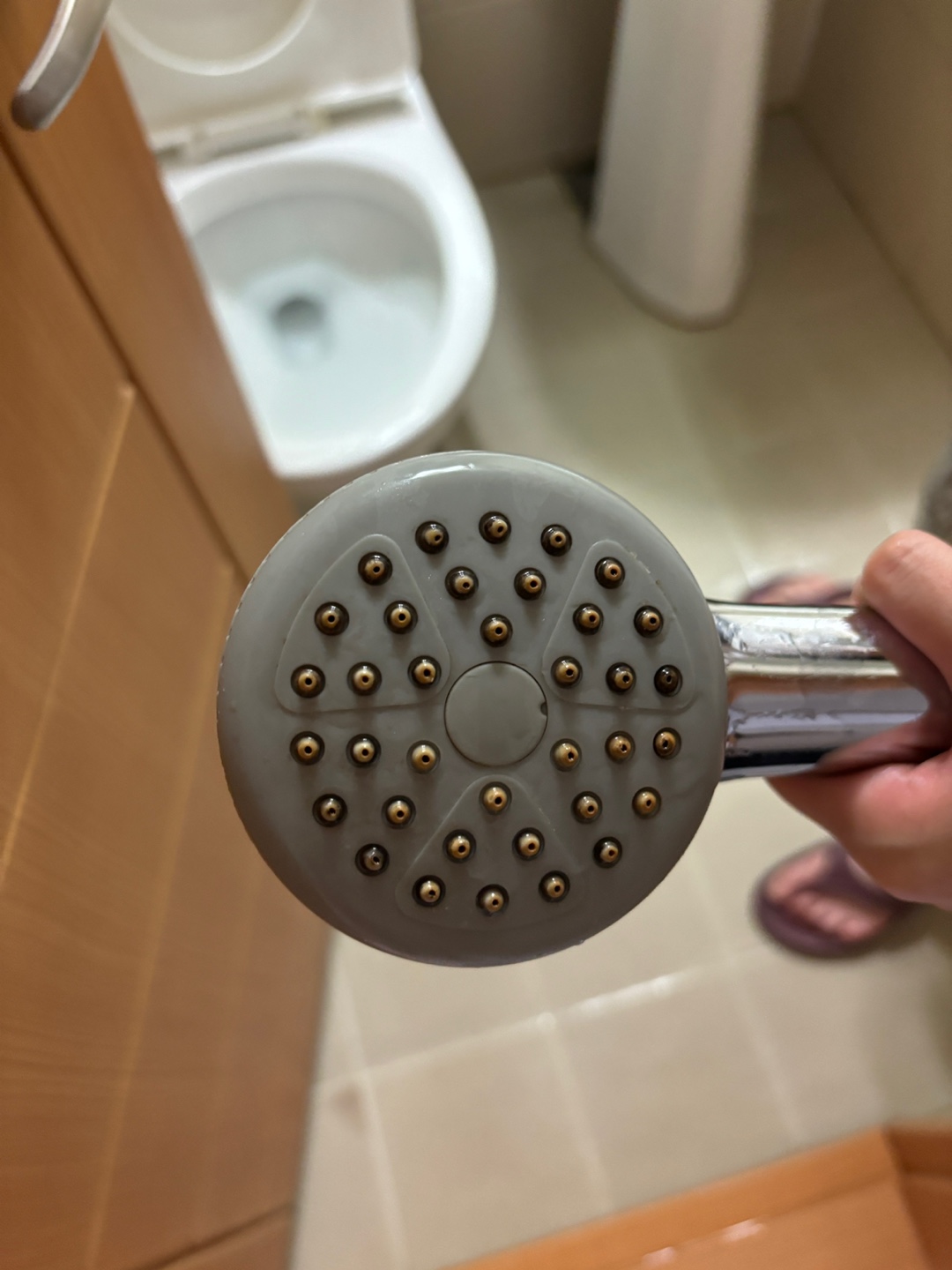 4호관 B동 316호 샤워기 헤드 곰팡이