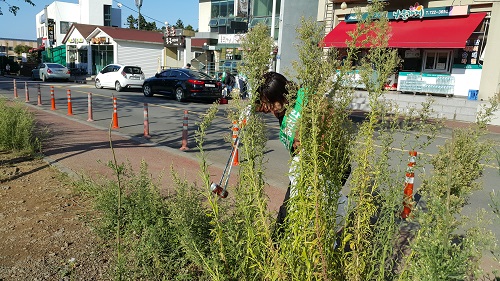 2017년도 하반기 학생생활관 주변 정화활동