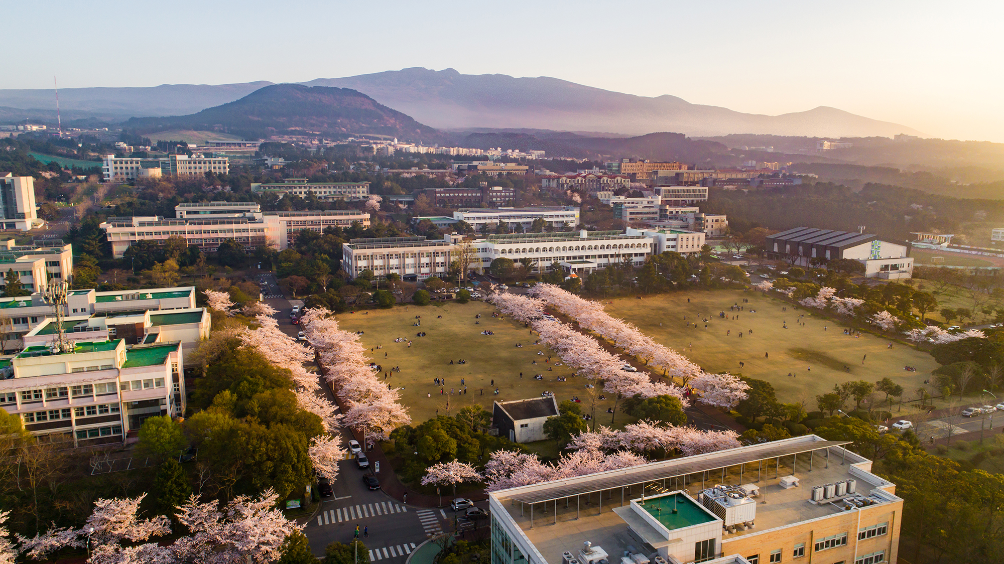 벚꽃 품은 제대
