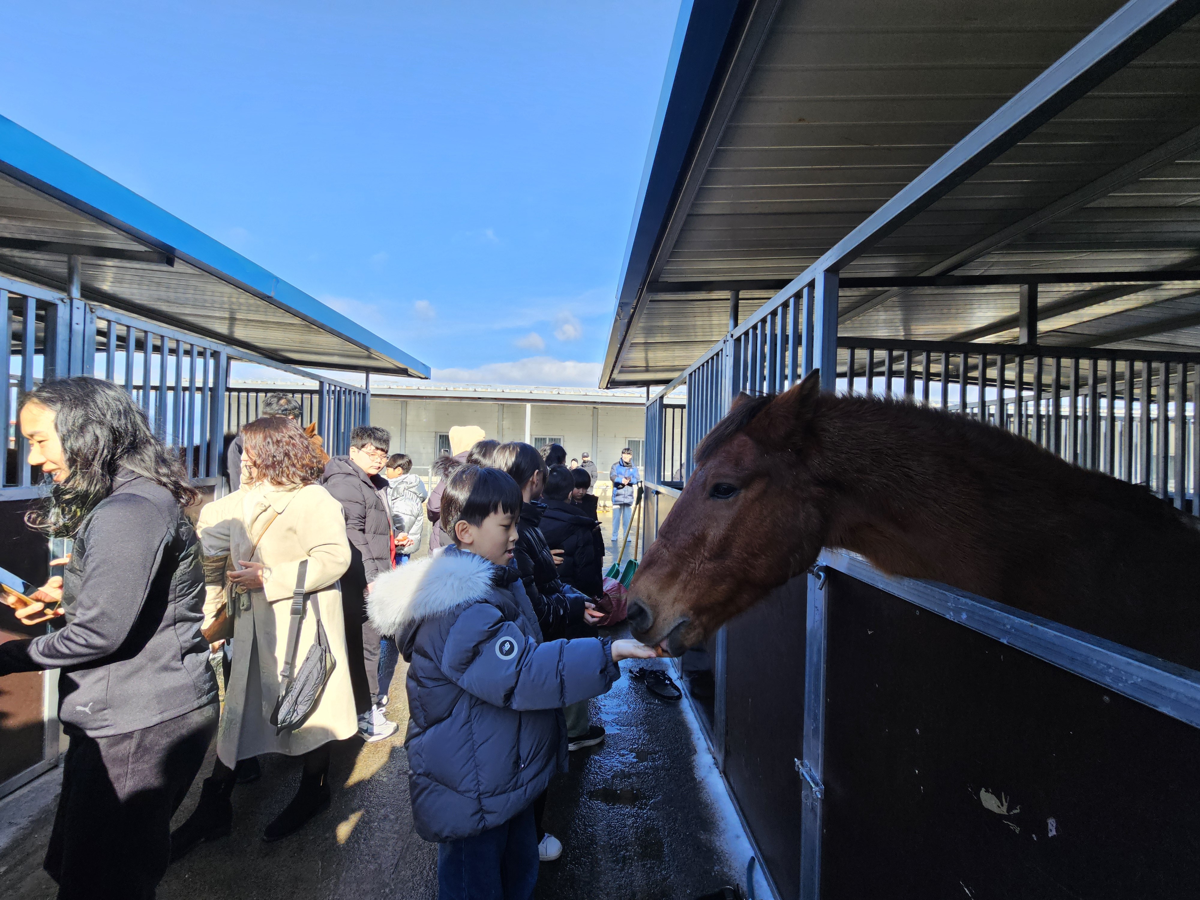 제주대학교, 지역 초등학생 대상‘말과 함께하는 언어 힐링 캠프’성료