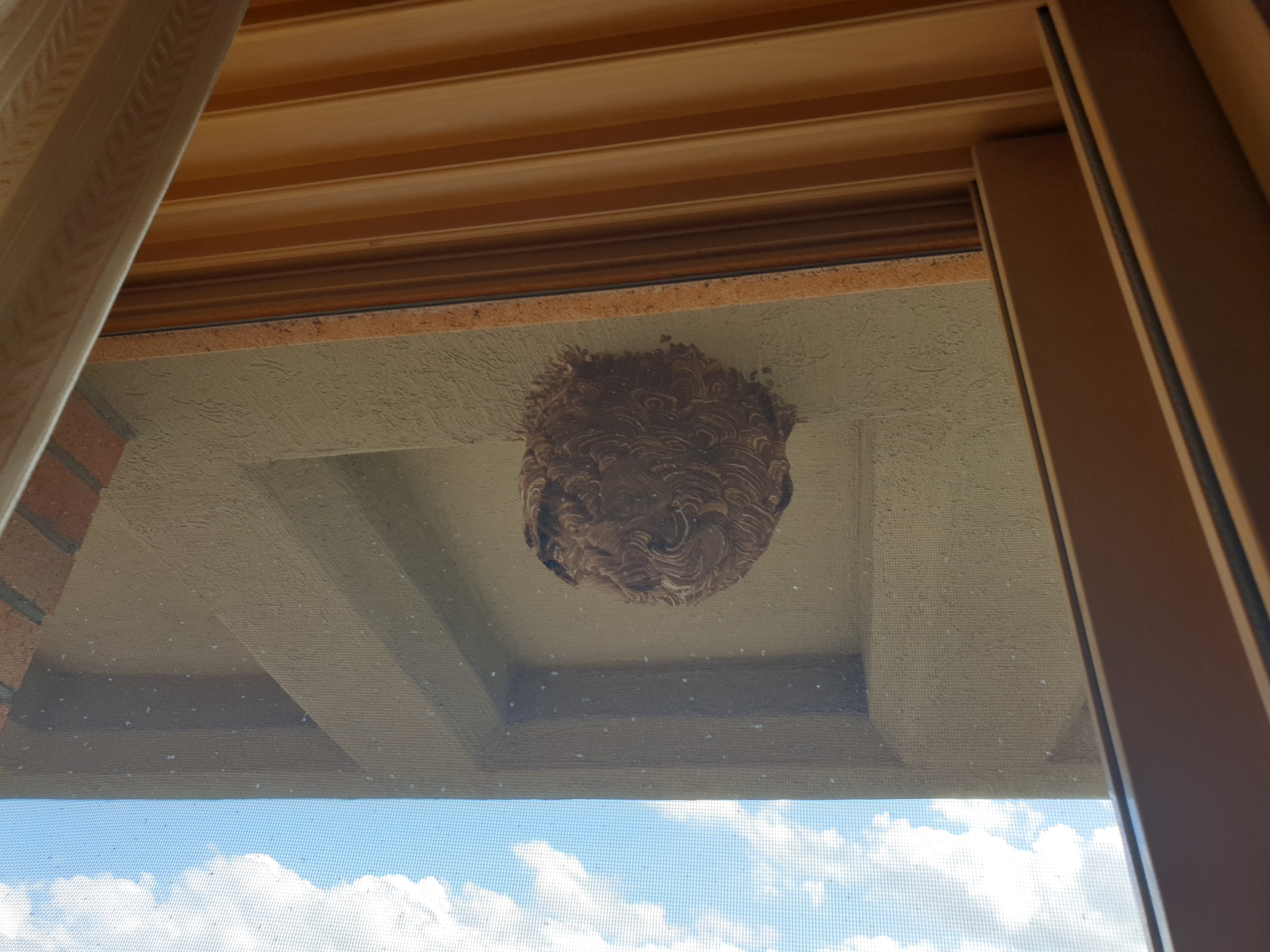 생활관 3호관 입주자입니다.