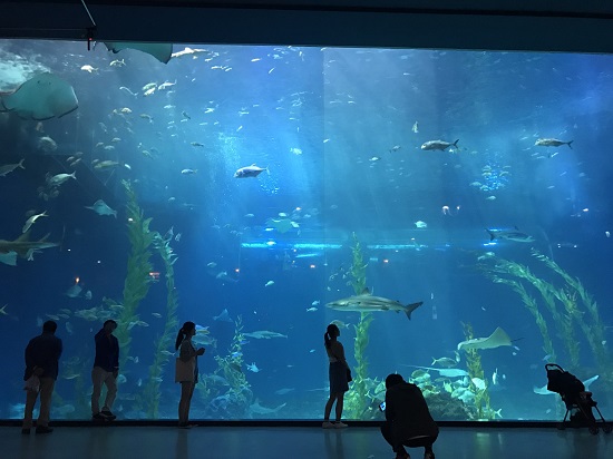 2017학년도 입주학생 춘계행사