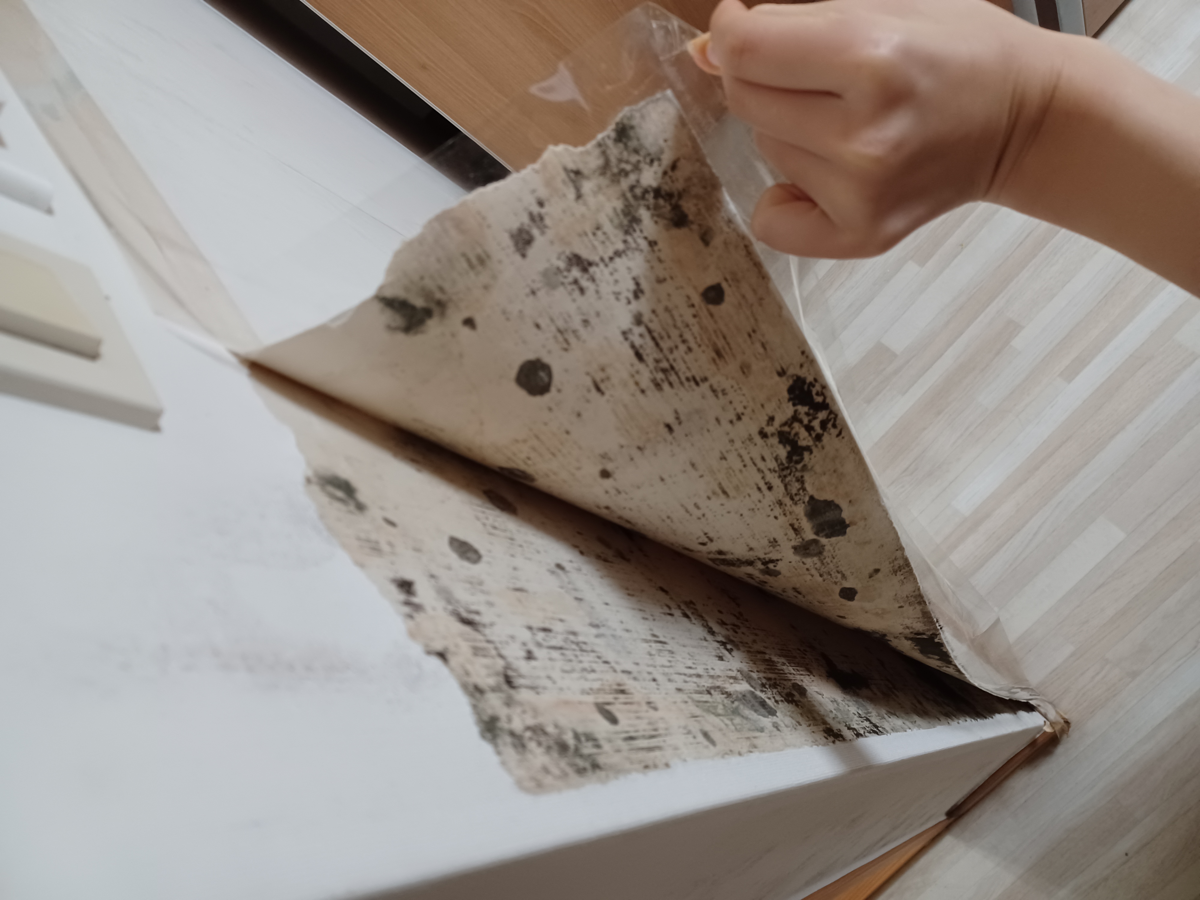 B동 410호 벽지 수리 요청