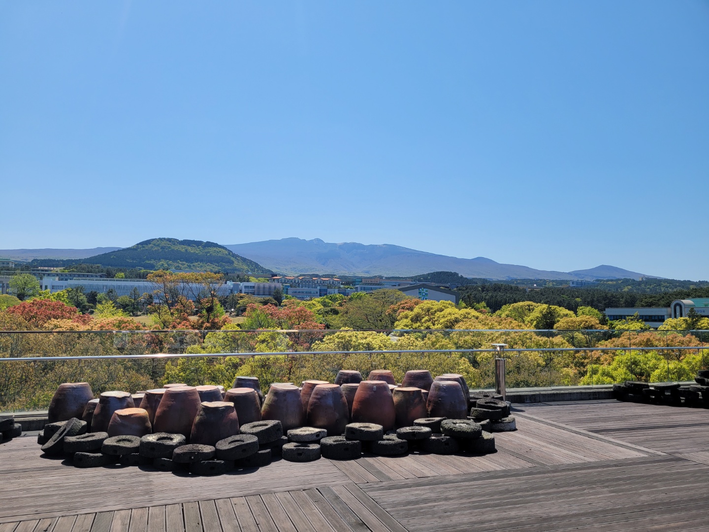 제주대학교 풍경(4월19일)