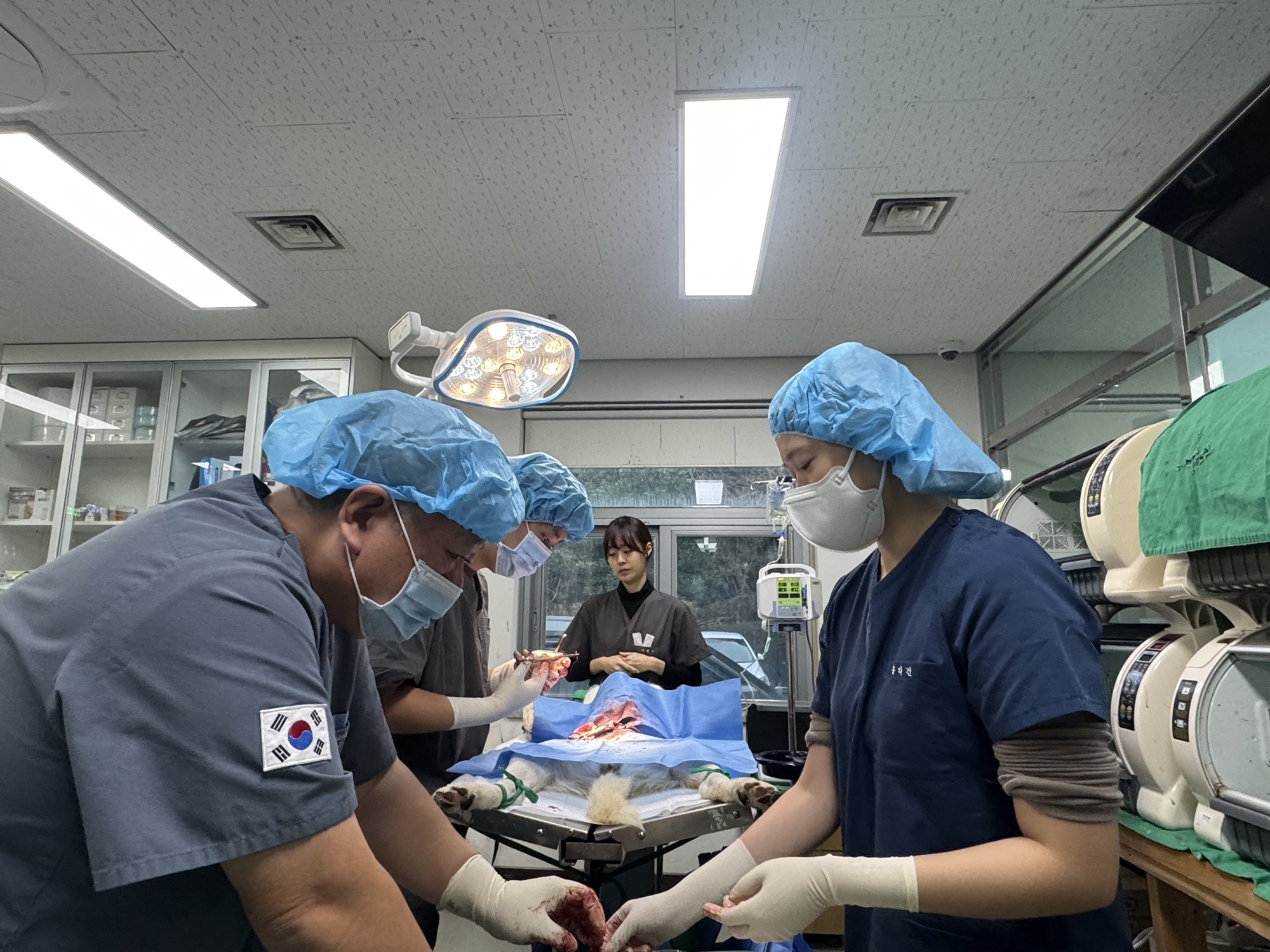 제주대학교 수의과대학 임상동아리 ‘백신’ RISE 사업 지원으로 One Health 제주 실현에 기여