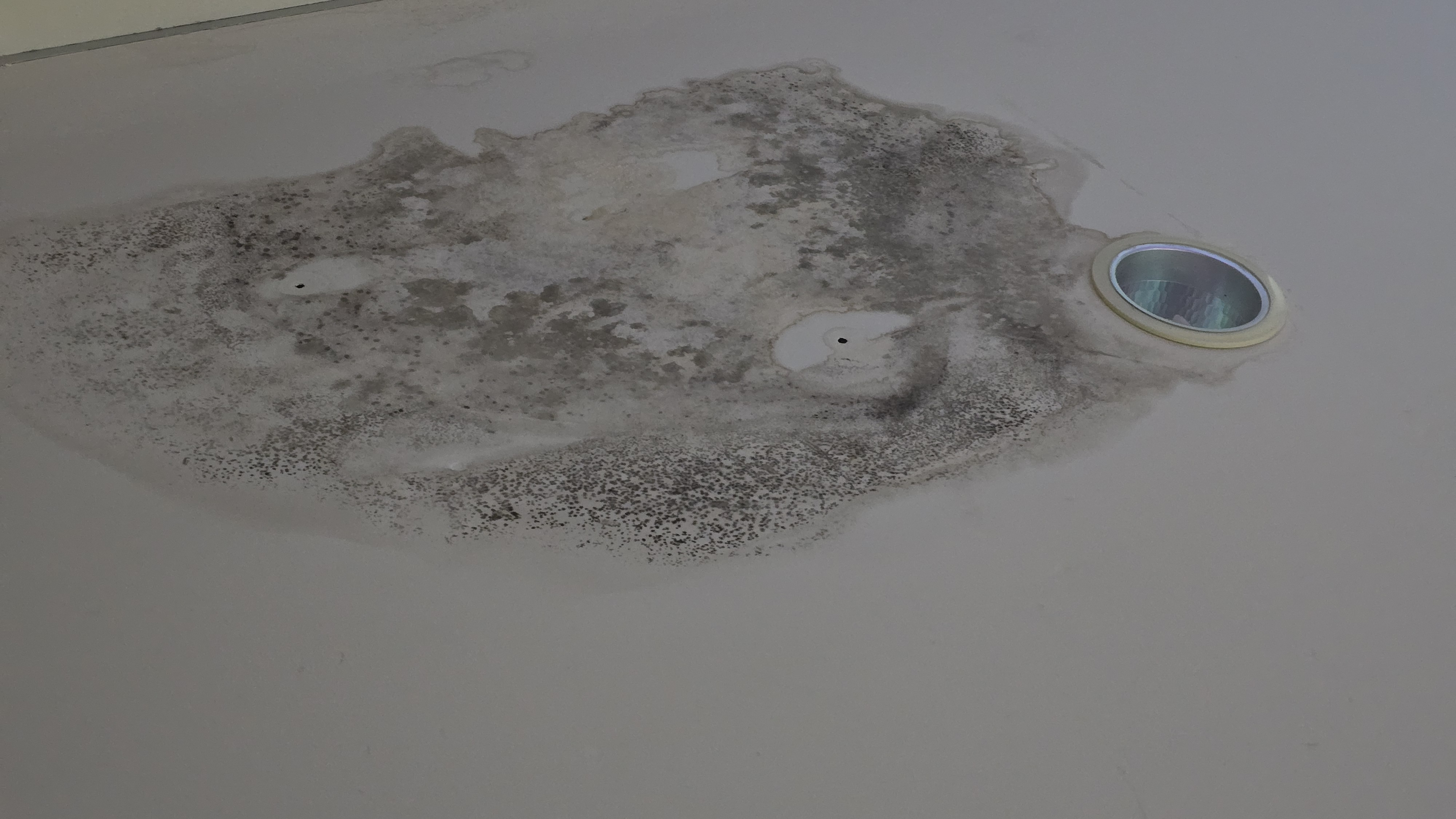 4호관 여자 체력단련실