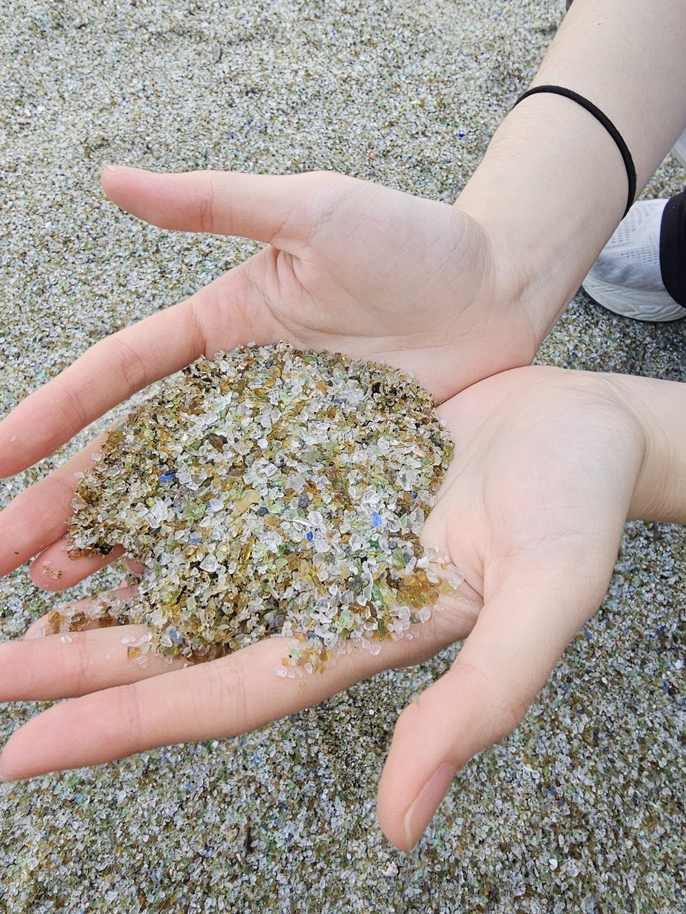 제주대 수산생명의학과, 현장 중심의 특성화 교육으로 지역문제 해결 앞장