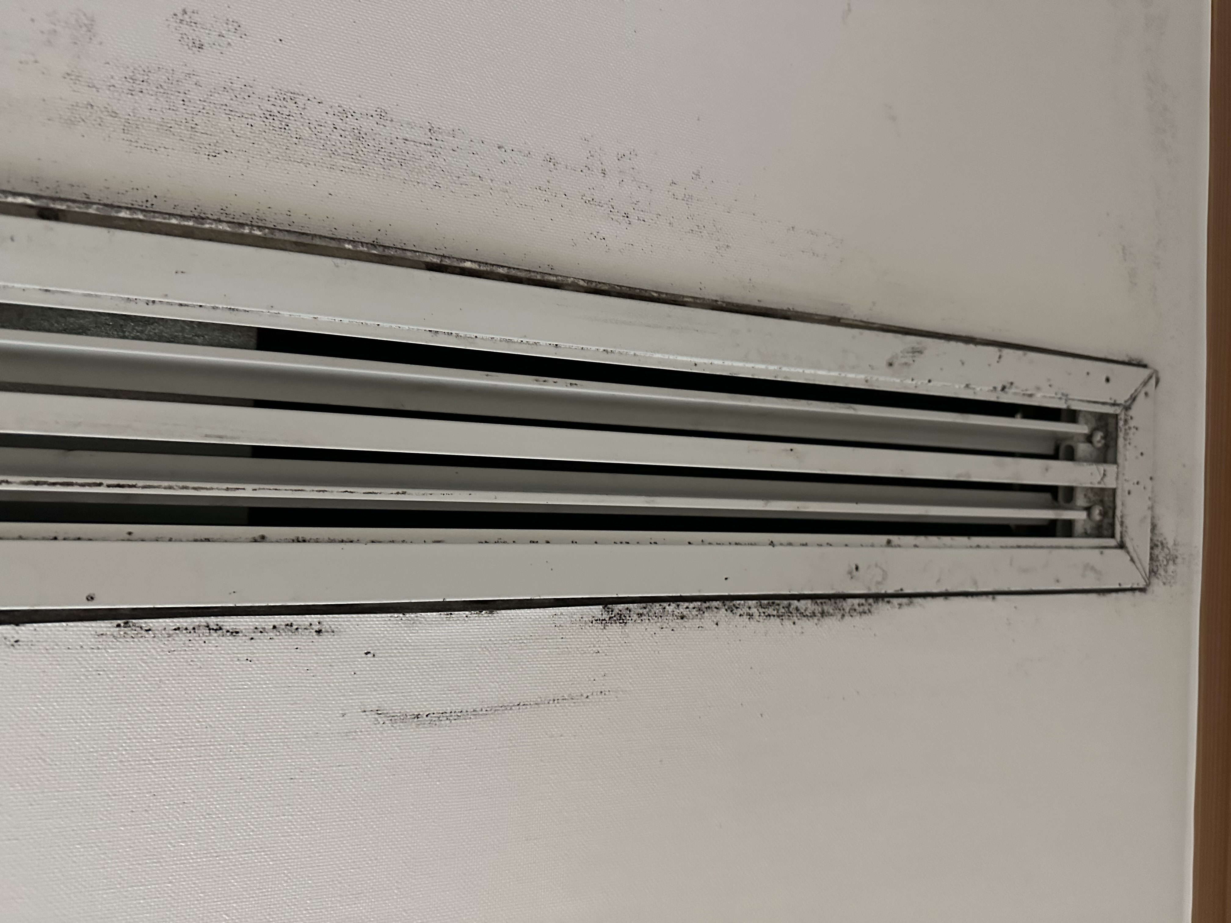 4호관 A동 224호실