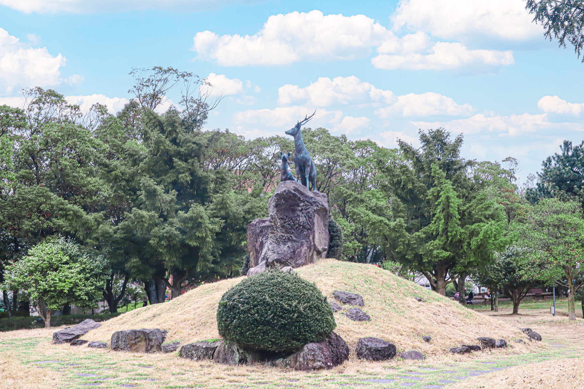 제주대학교 전경 사진
