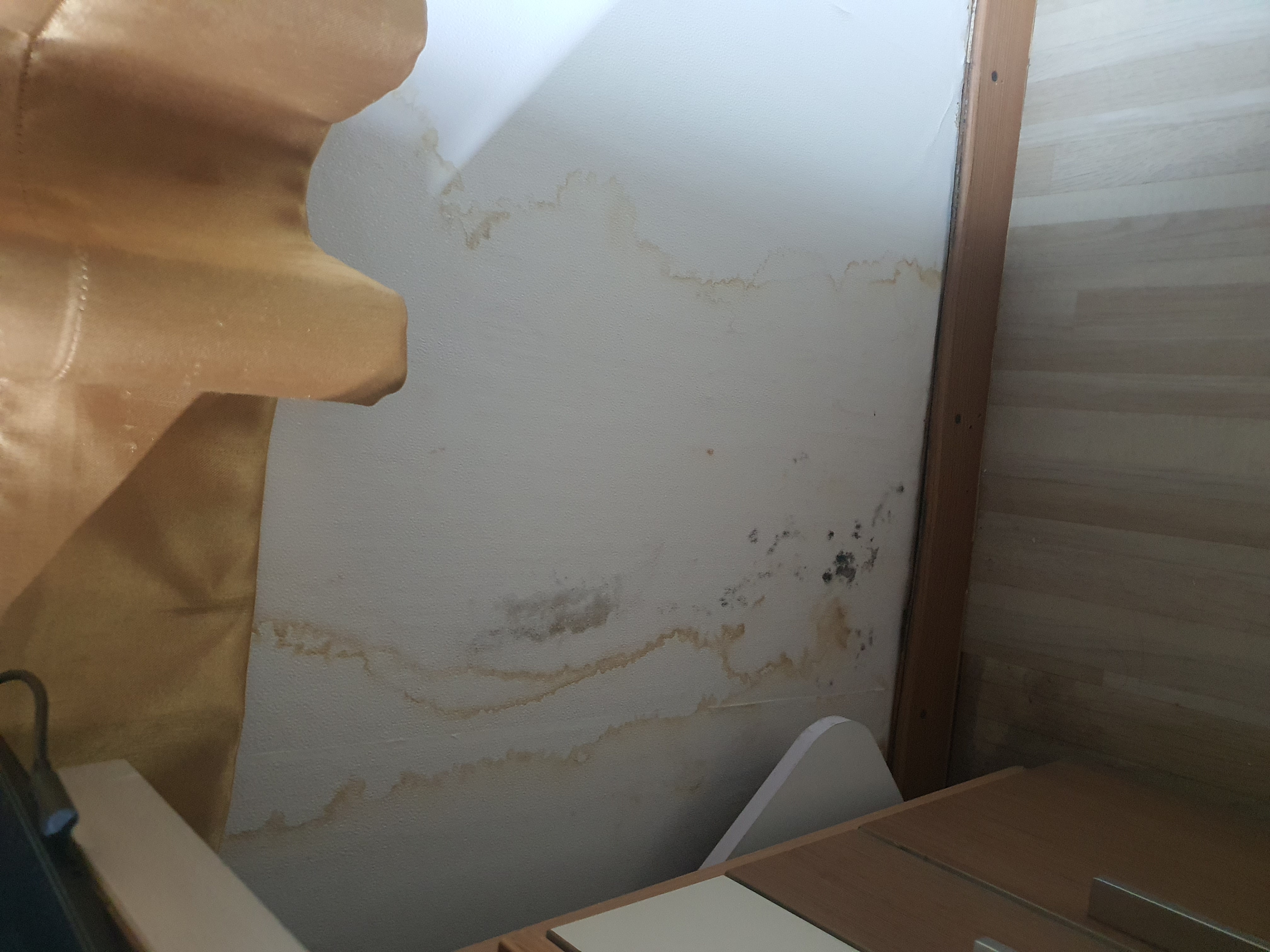 4호관 B동 411호 벽지하고 바닥 수리 부탁드립니다