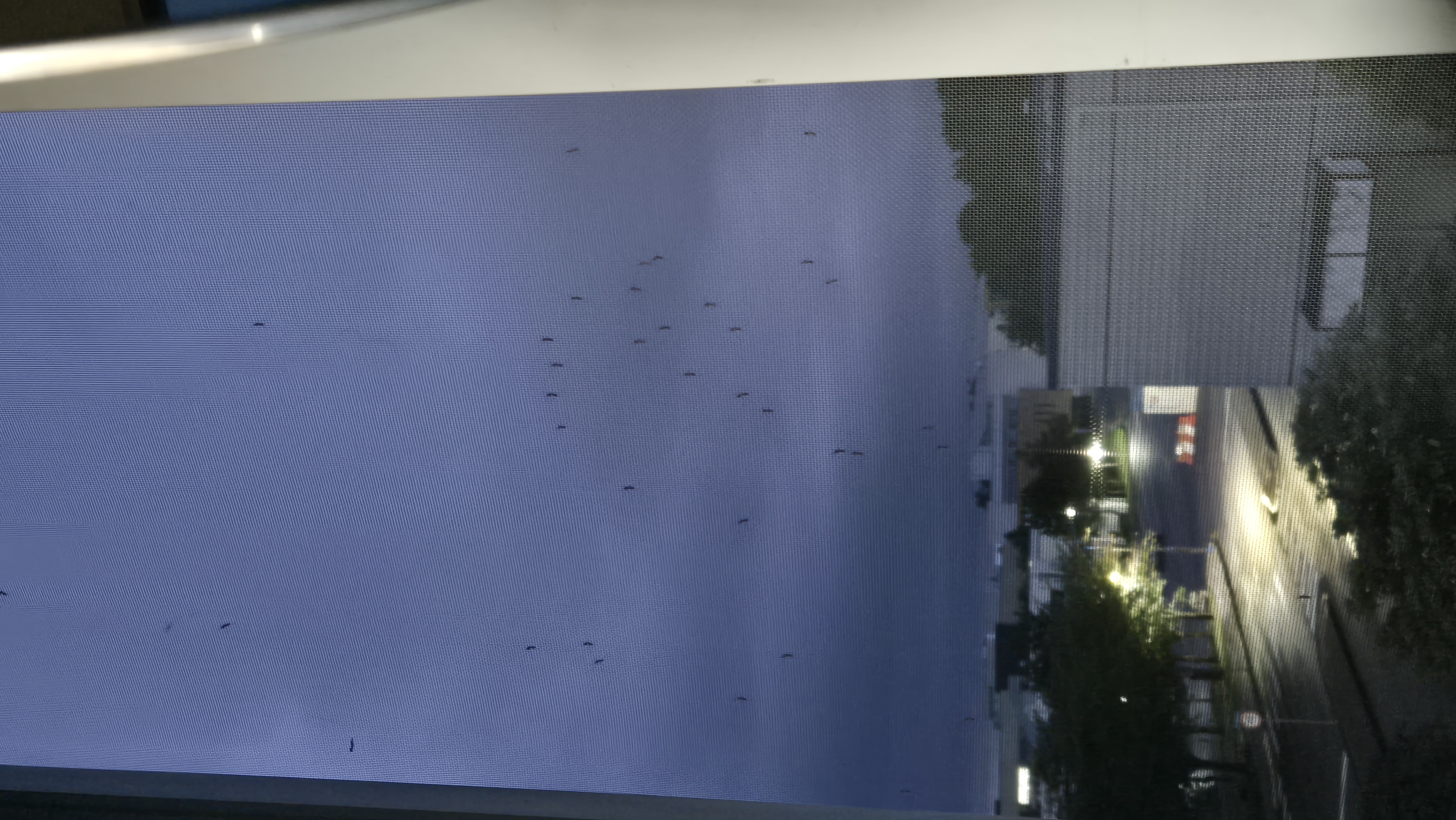 해충 방역 A동 205호