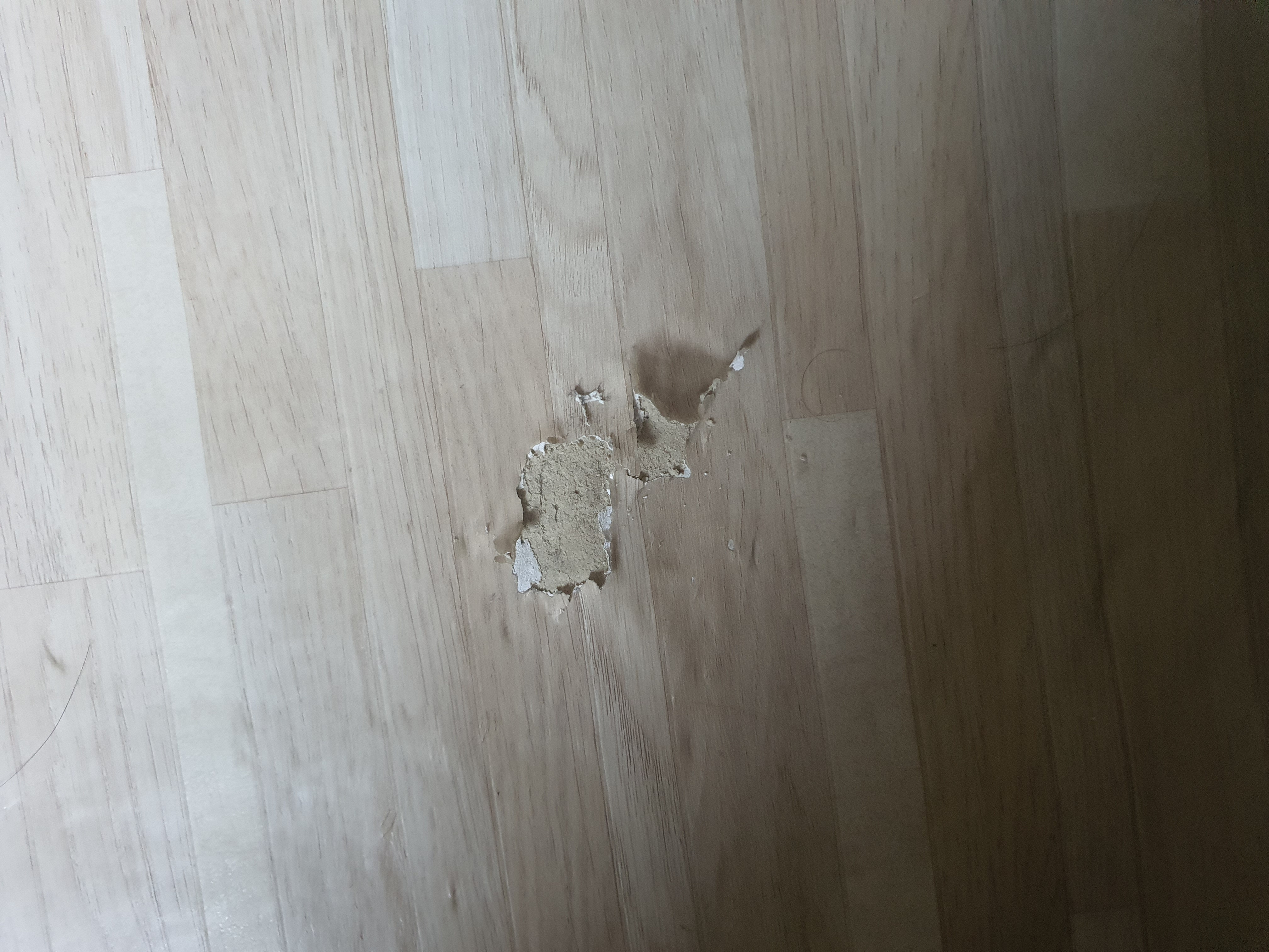 4호관 B동 137호 화장실 전등 / 책상 근처 바닥