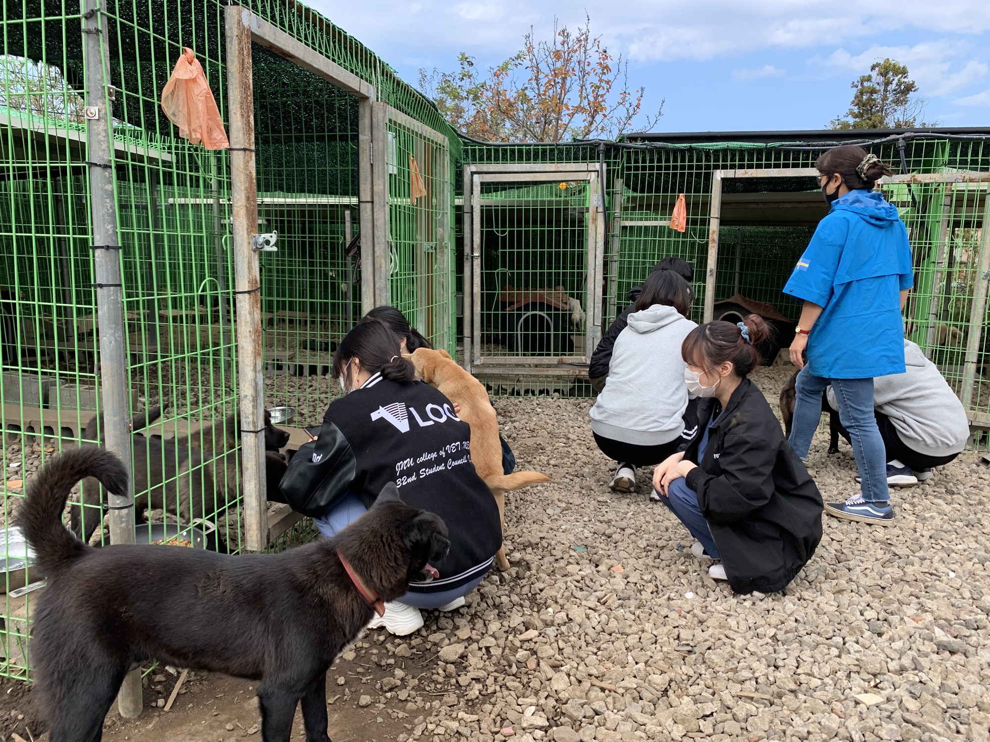 제주대학교 수의과대학 임상동아리 ‘백신’ RISE 사업 지원으로 One Health 제주 실현에 기여
